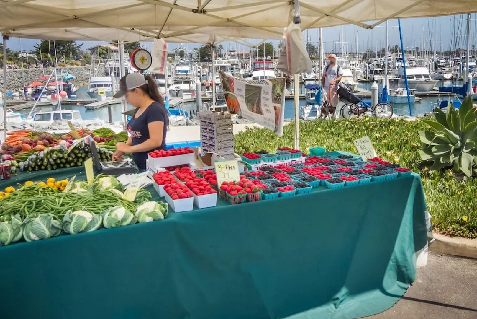 Harborside House in Oxnard by RedAwning