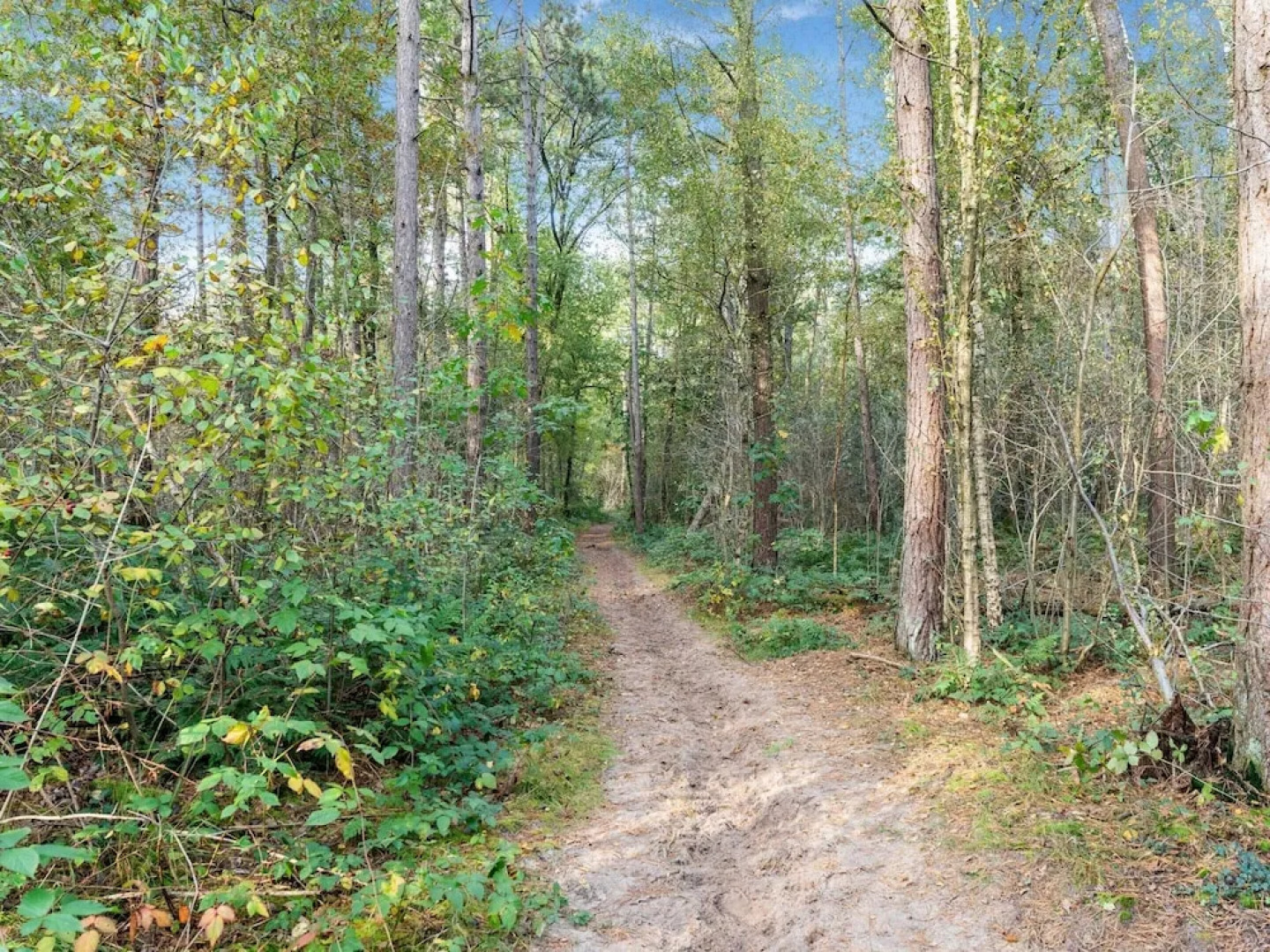 Charming Holiday Home in Kaatsheuvel Near Efteling