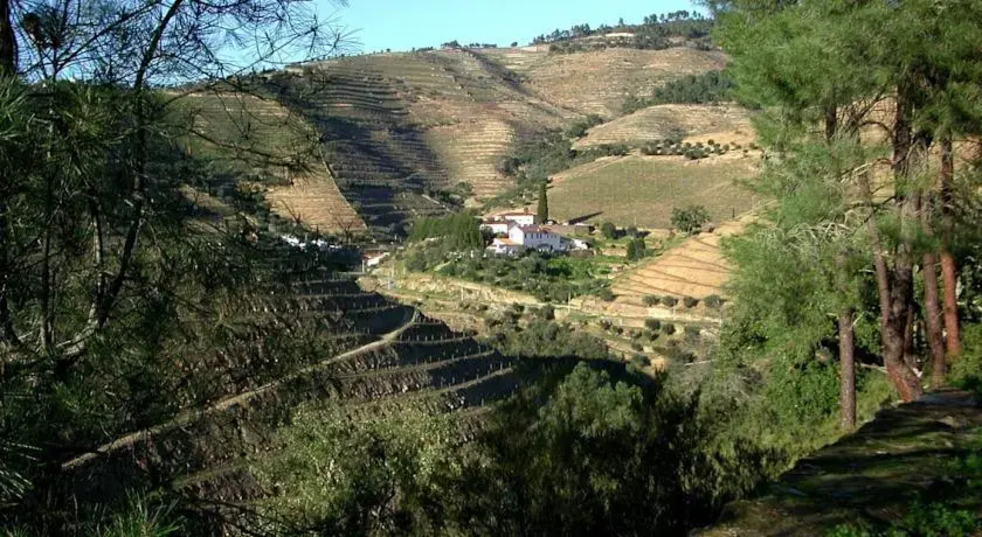 Quinta do Passadouro