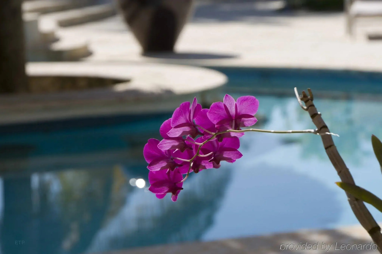 The Balaji Palace at Playa Grande