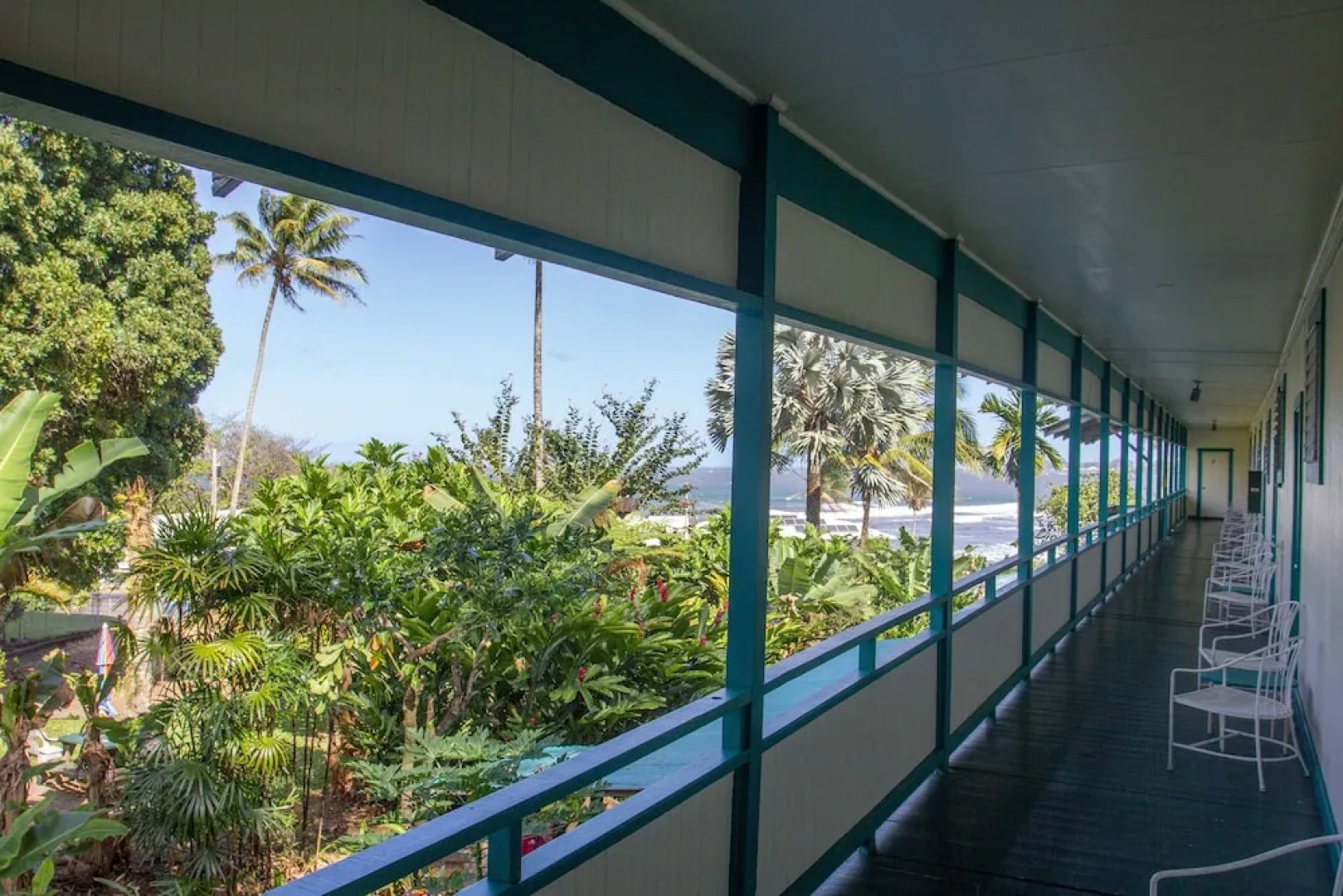 Wild Ginger Inn Hotel & Hostel