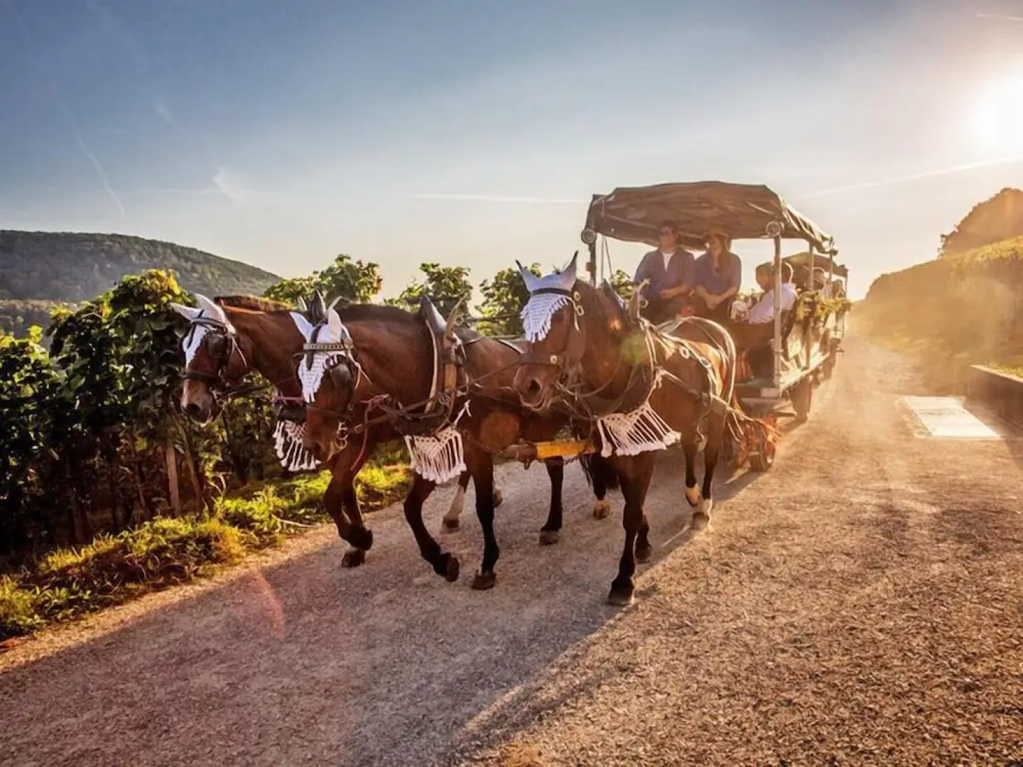 Bahnhof ERZINGEN hotel coffee  & more