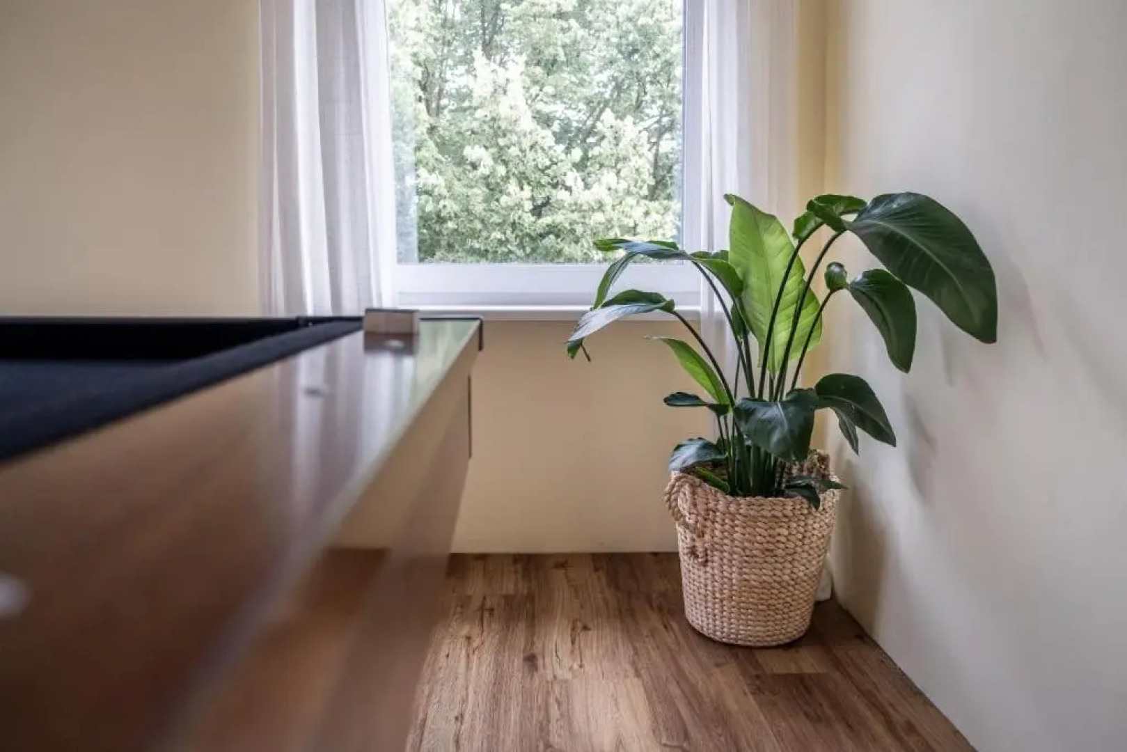 Nähe Europa Park! Exklusive Ferienwohnung mit 140 qm!