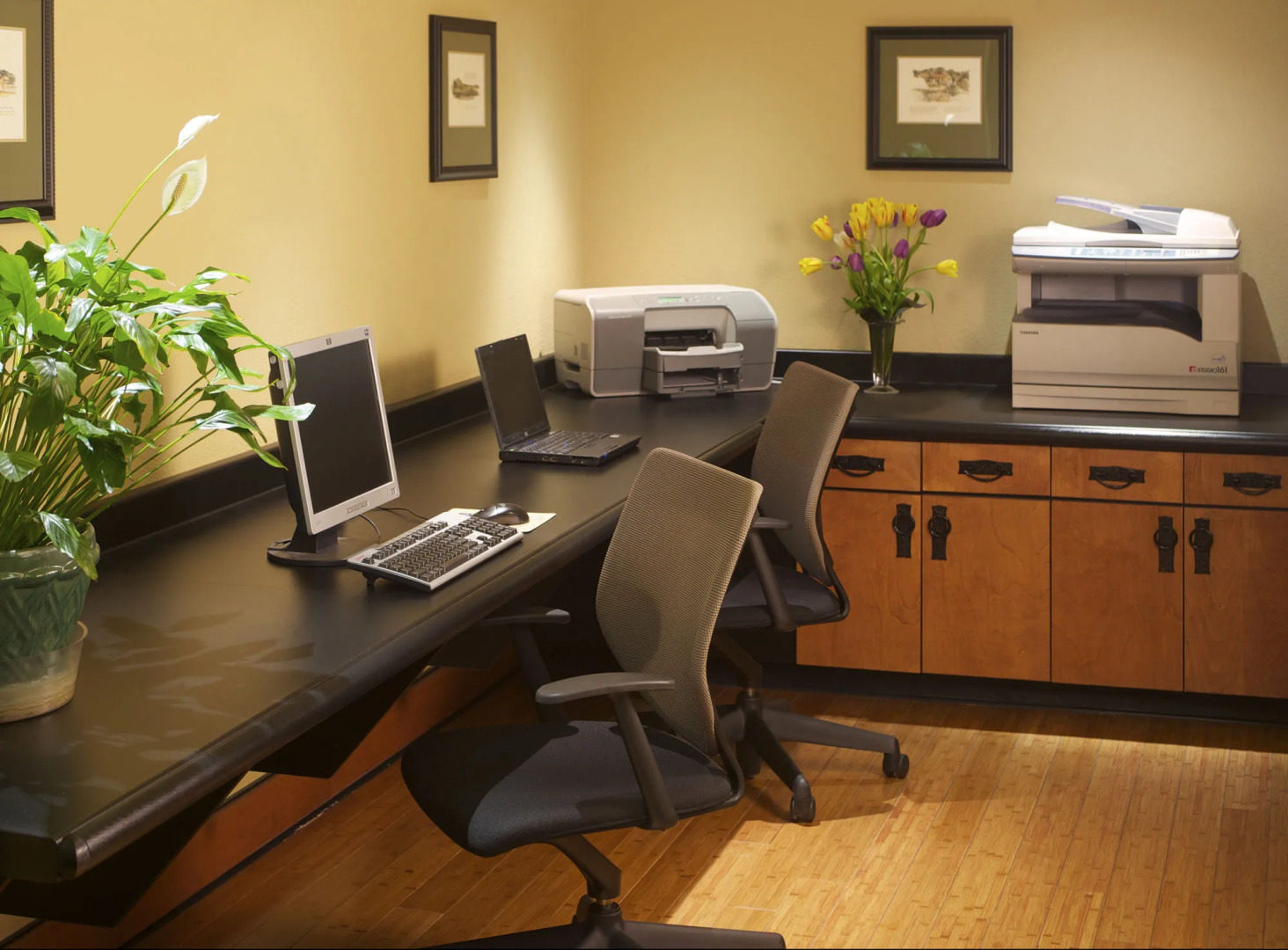 Larkspur Landing Extended Stay Suites Renton