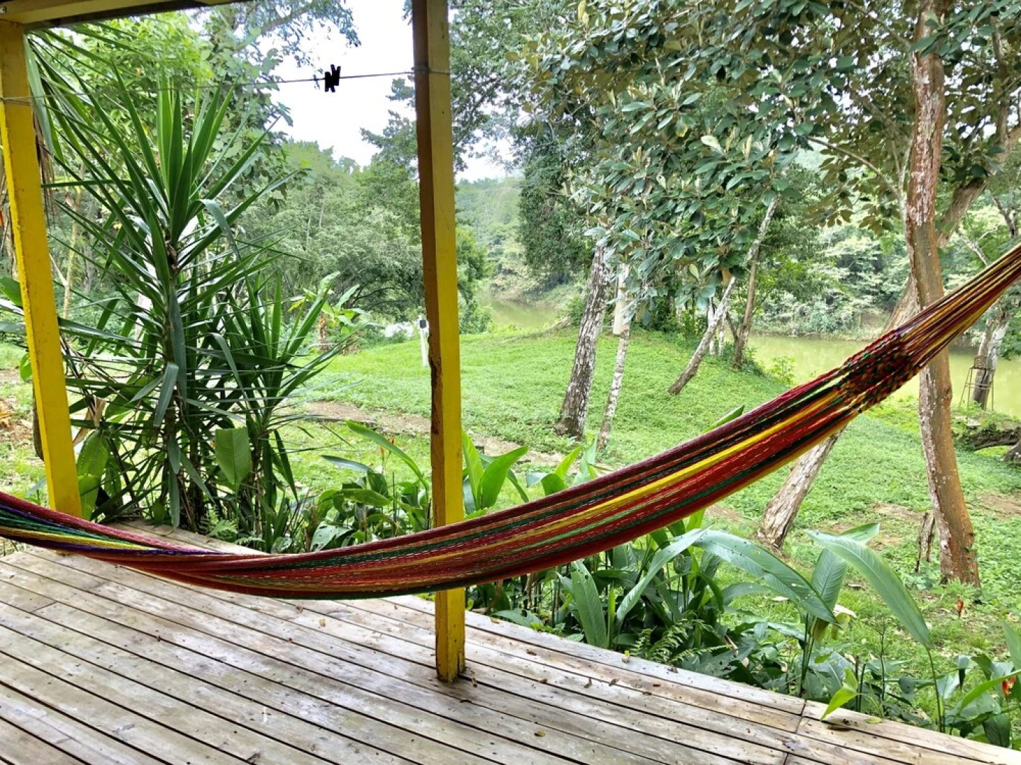 Howler Monkey Resort