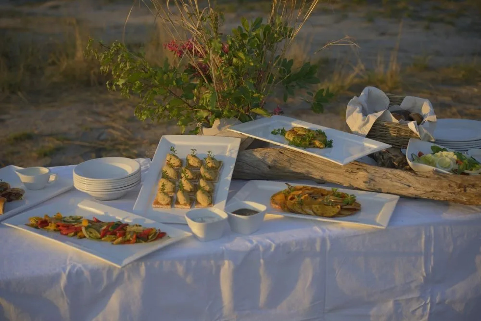 Elephant's Eye, Hwange