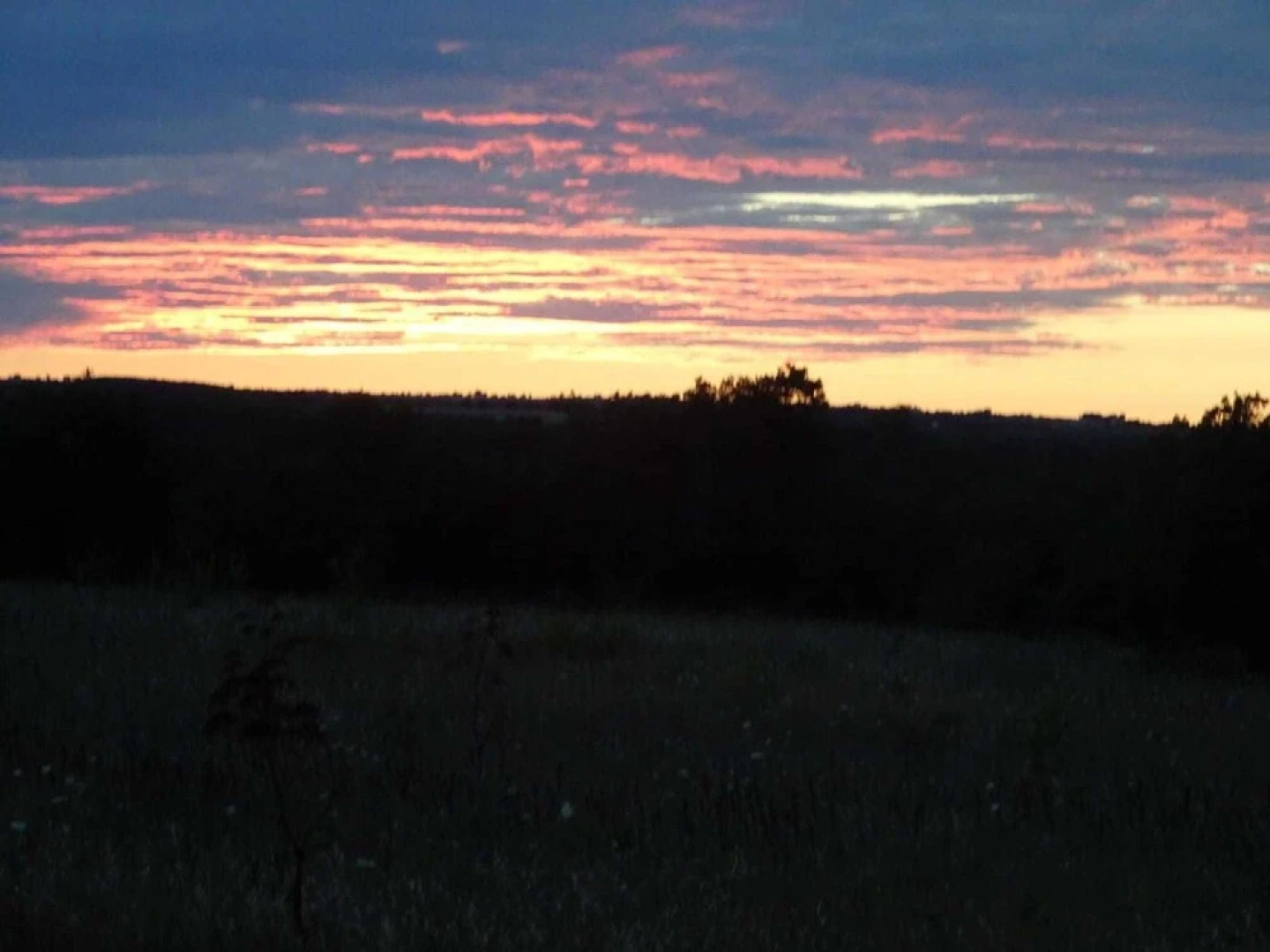 Tenuta Tedone Consolini