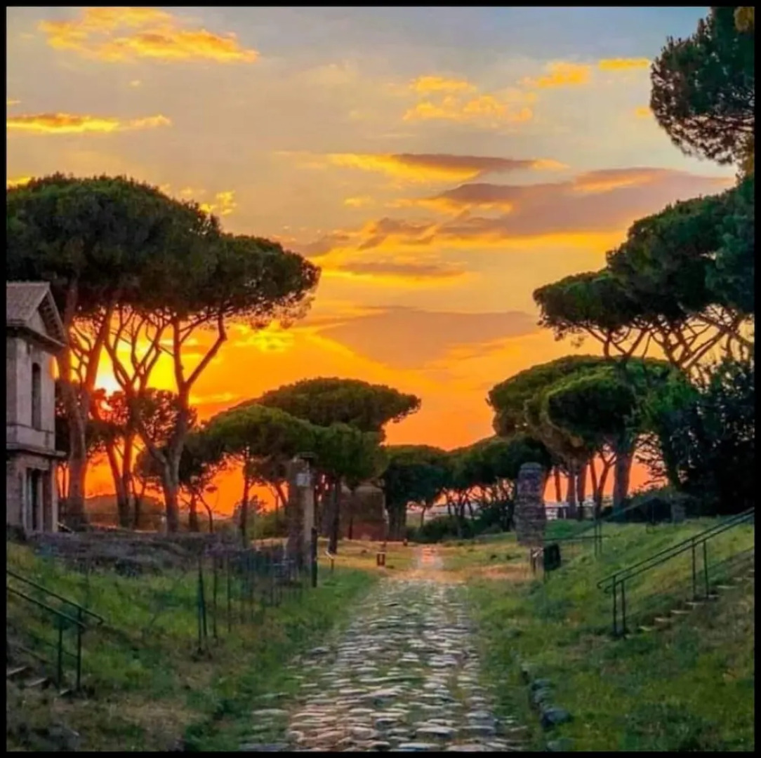 My Bed Vatican Museum