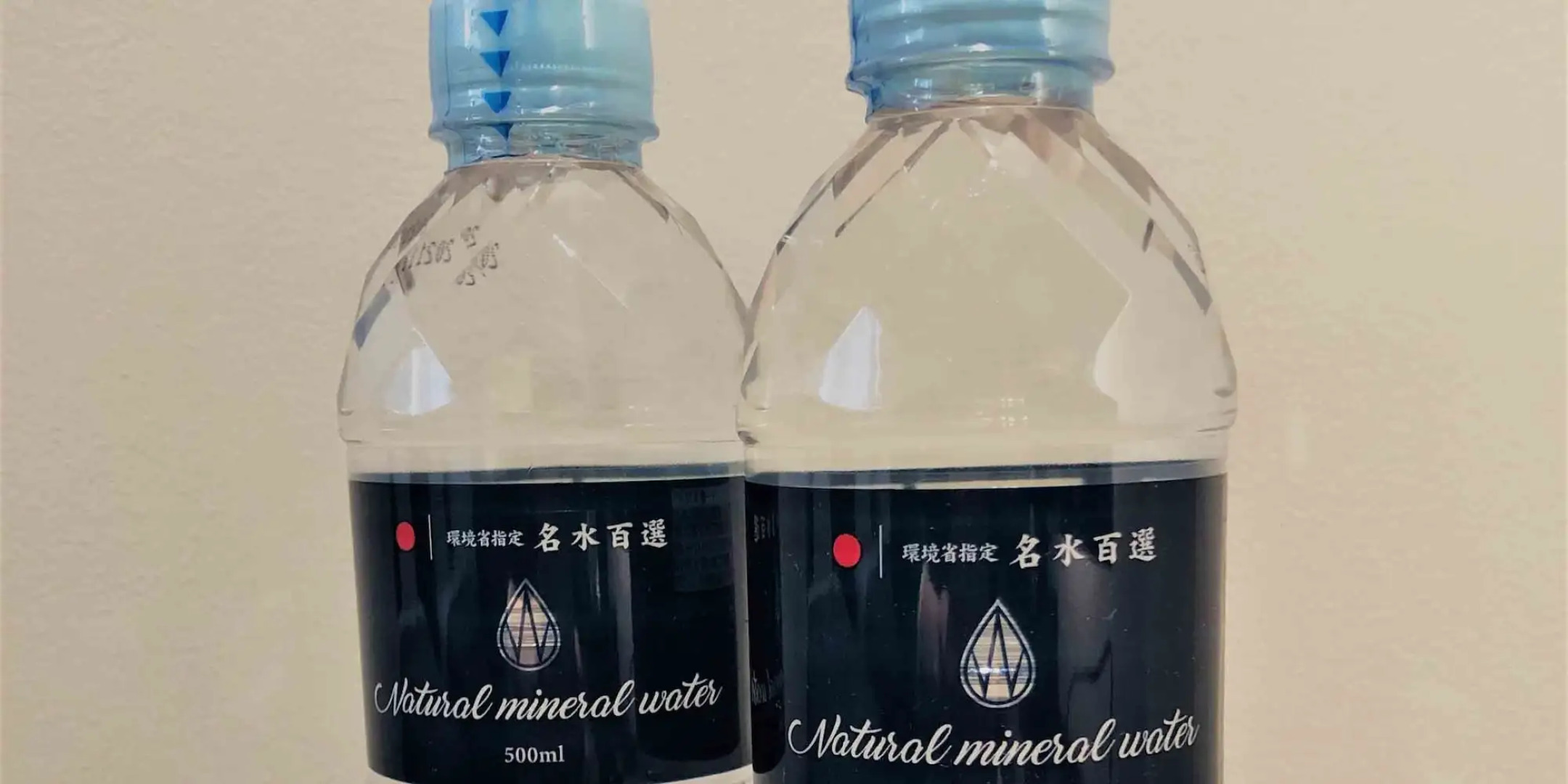 RESI STAY JISCO HOTEL Kyoto Gosho Nishi