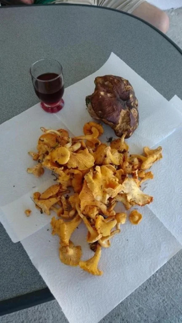 Haus Hochzeigerblick