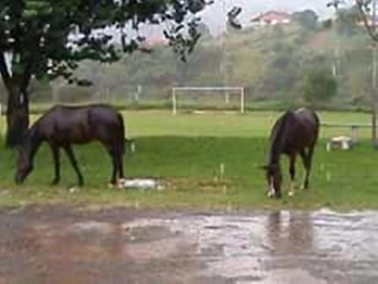 Chalés Parque Aquático