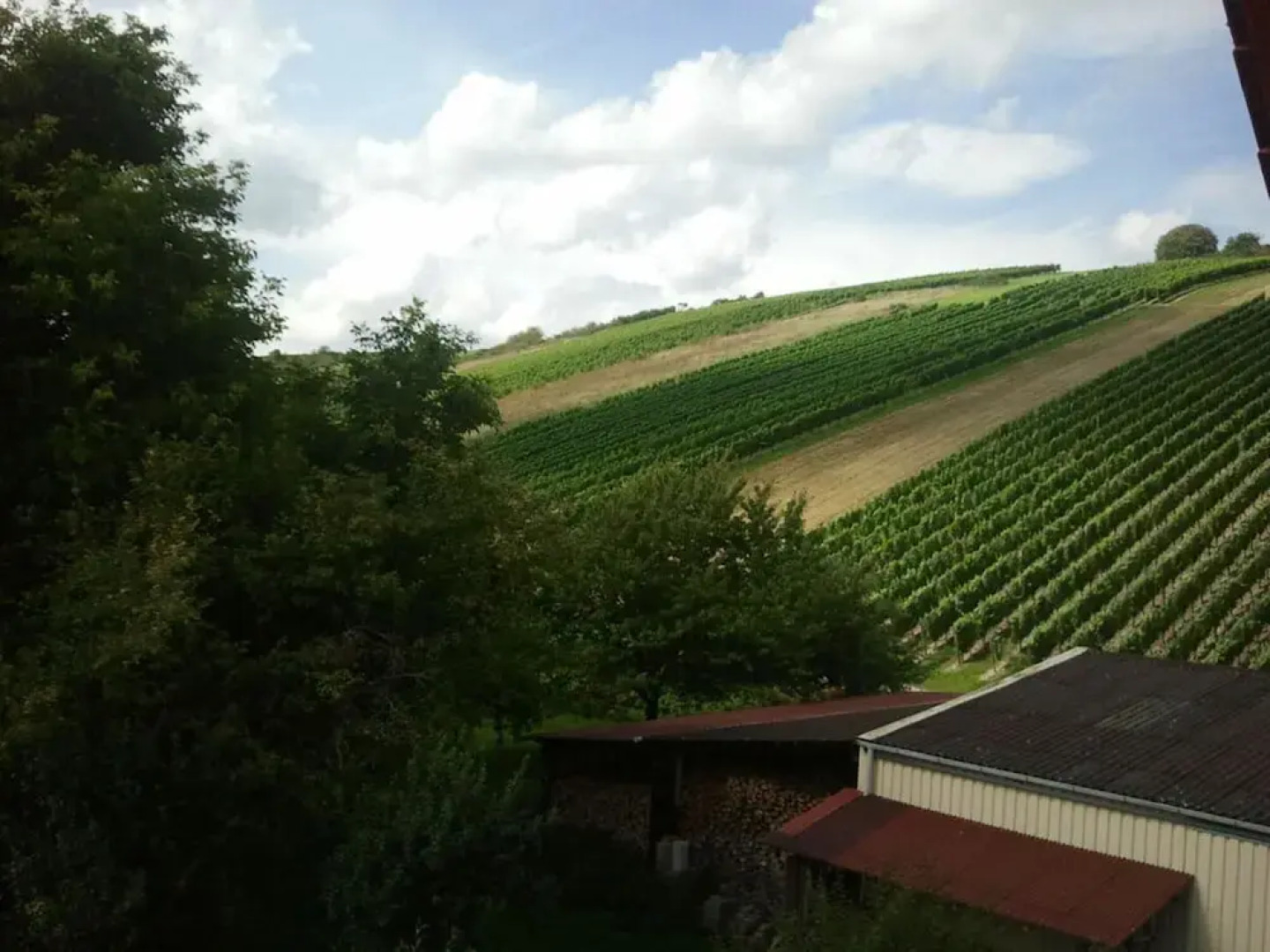 Holiday Apartment Thoma