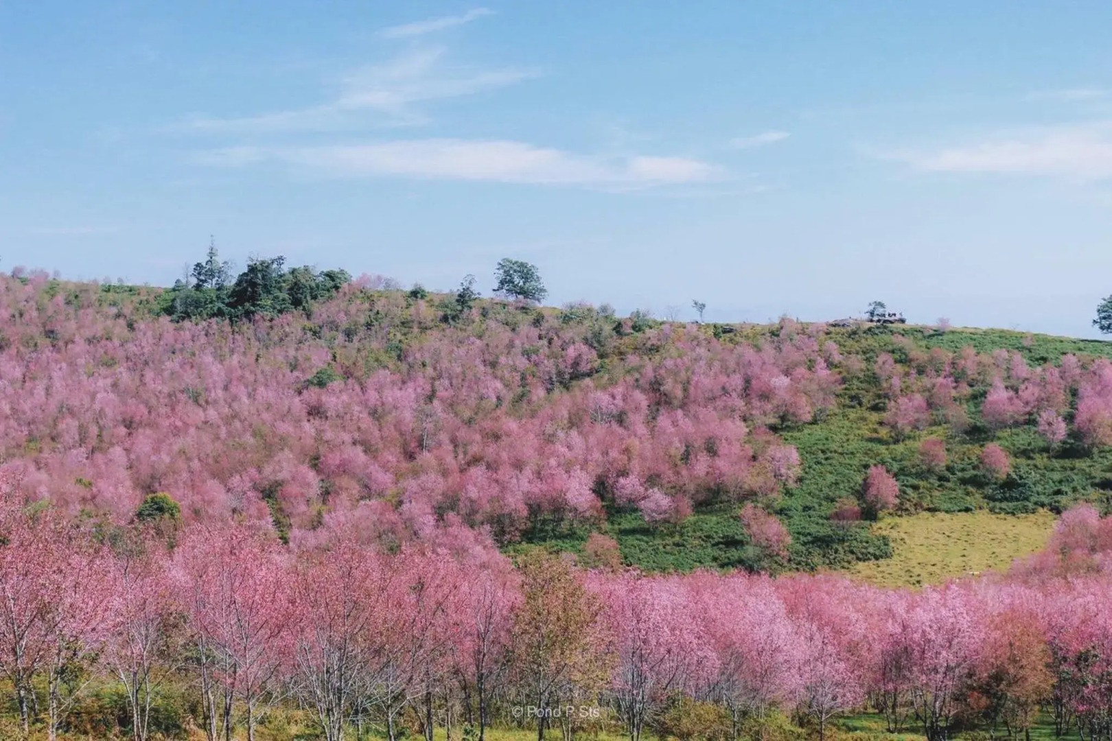 Pupiang Po Da Arte Resort
