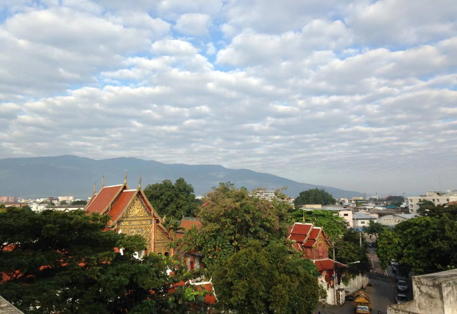 Panda House Chiang Mai