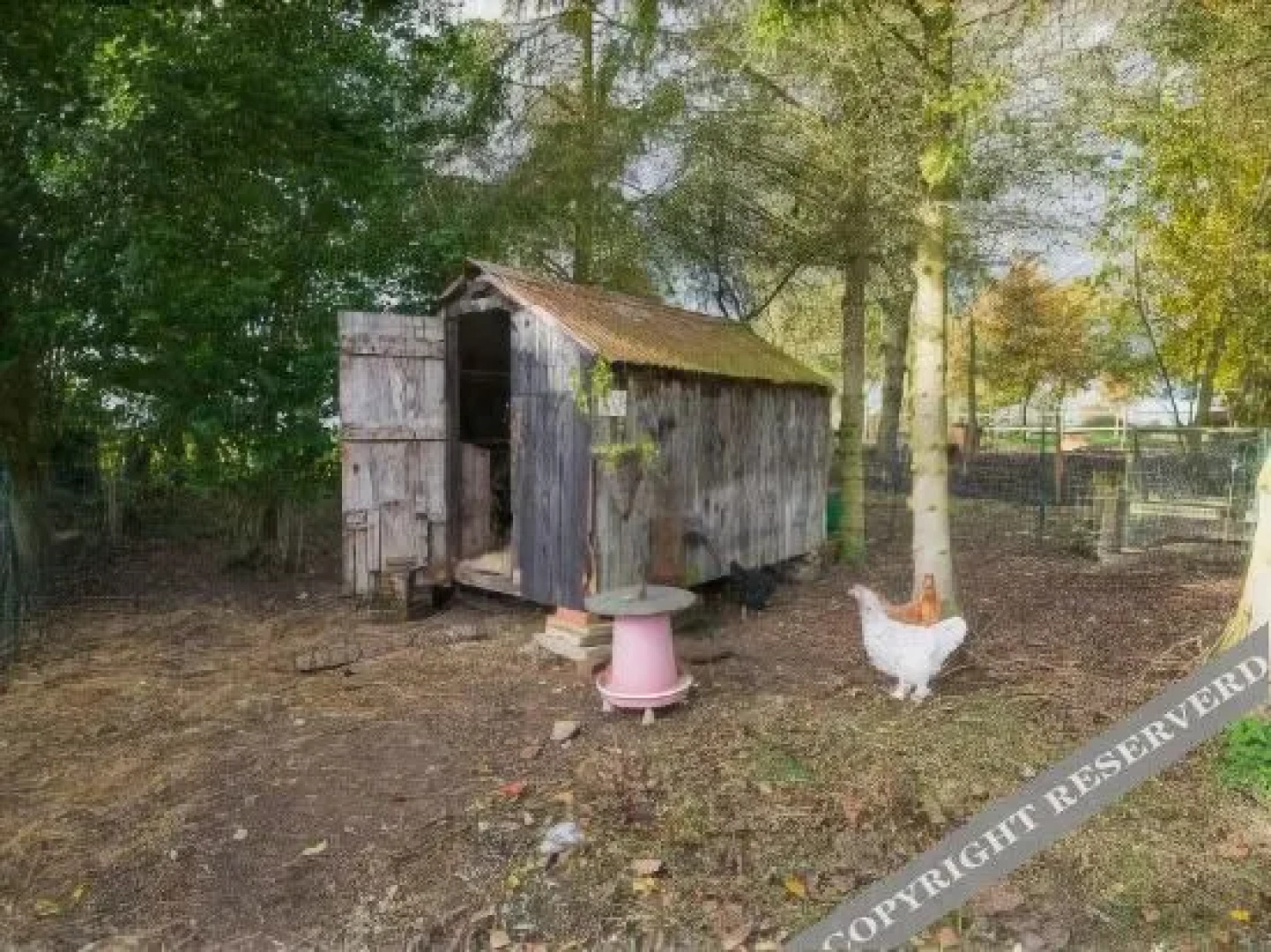 Valley Farmhouse B&B