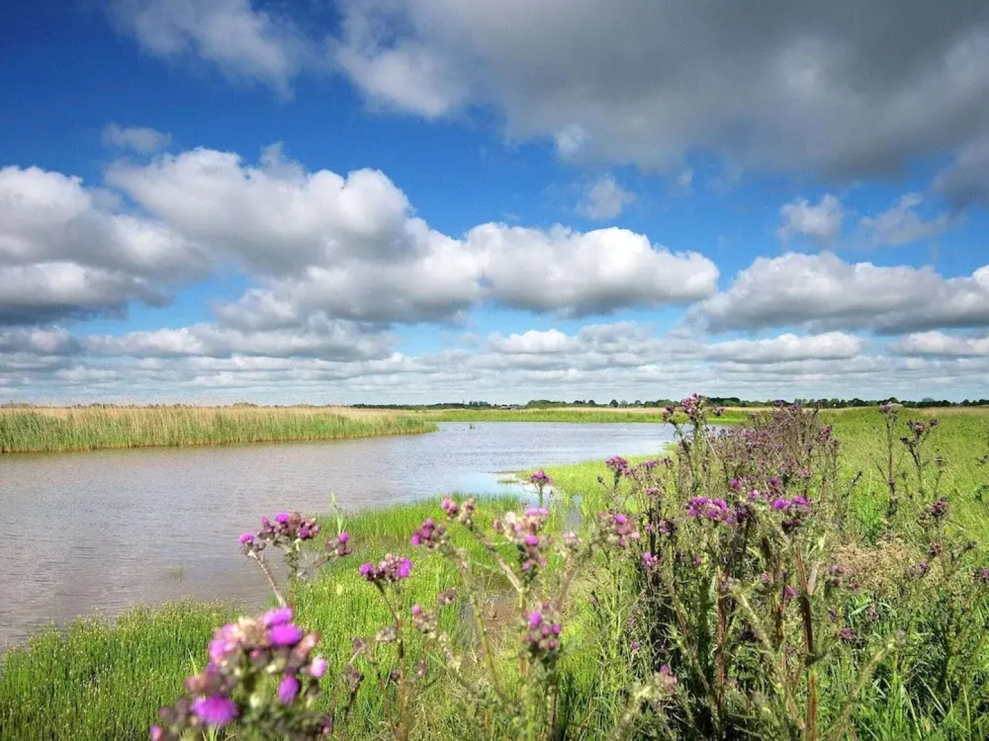 House Boat in Goengahuizen With Sauna