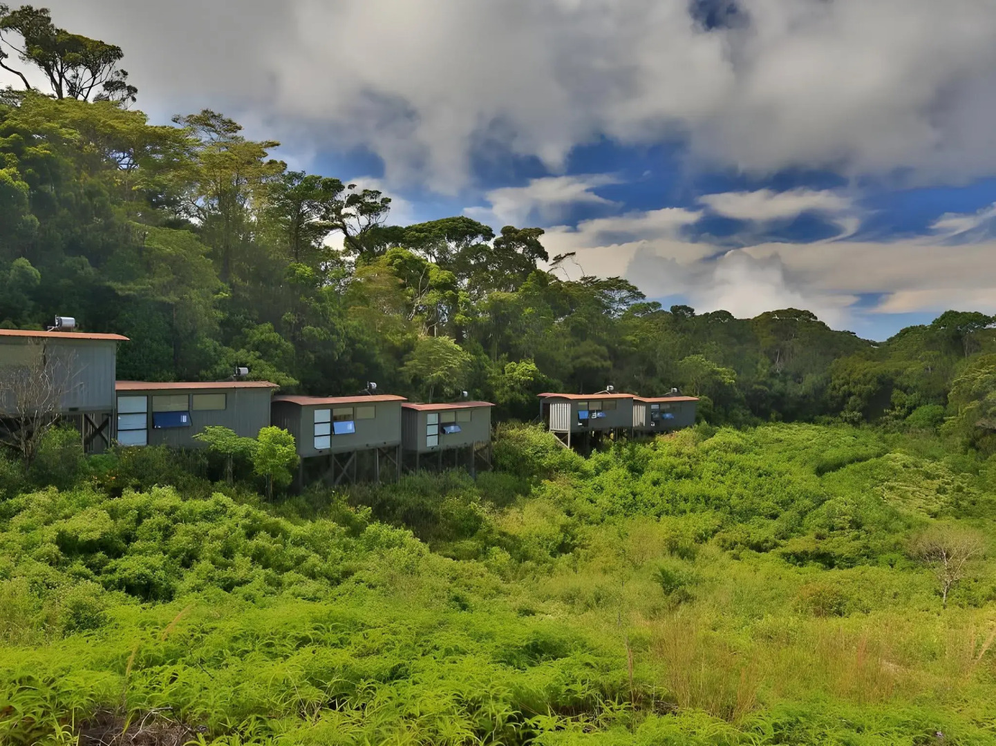 The Rainforest Ecolodge