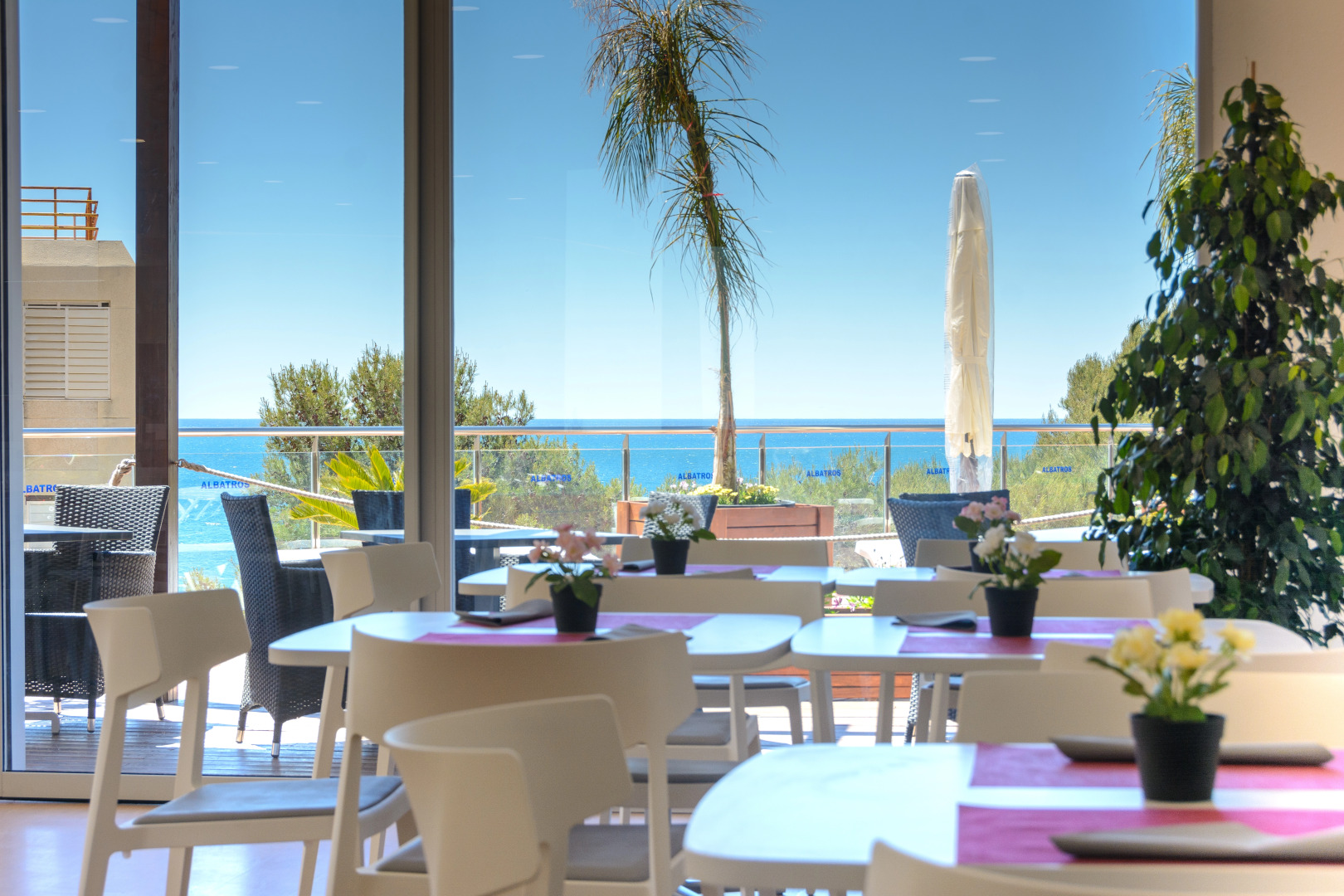 MedPlaya Albatros Family