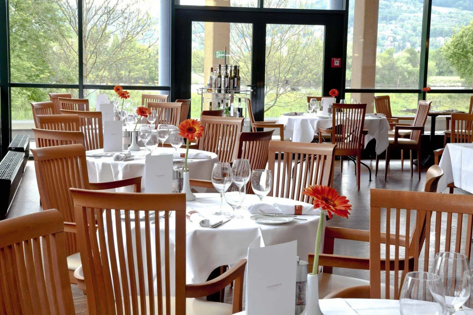 Trans World Hotel Donauwelle