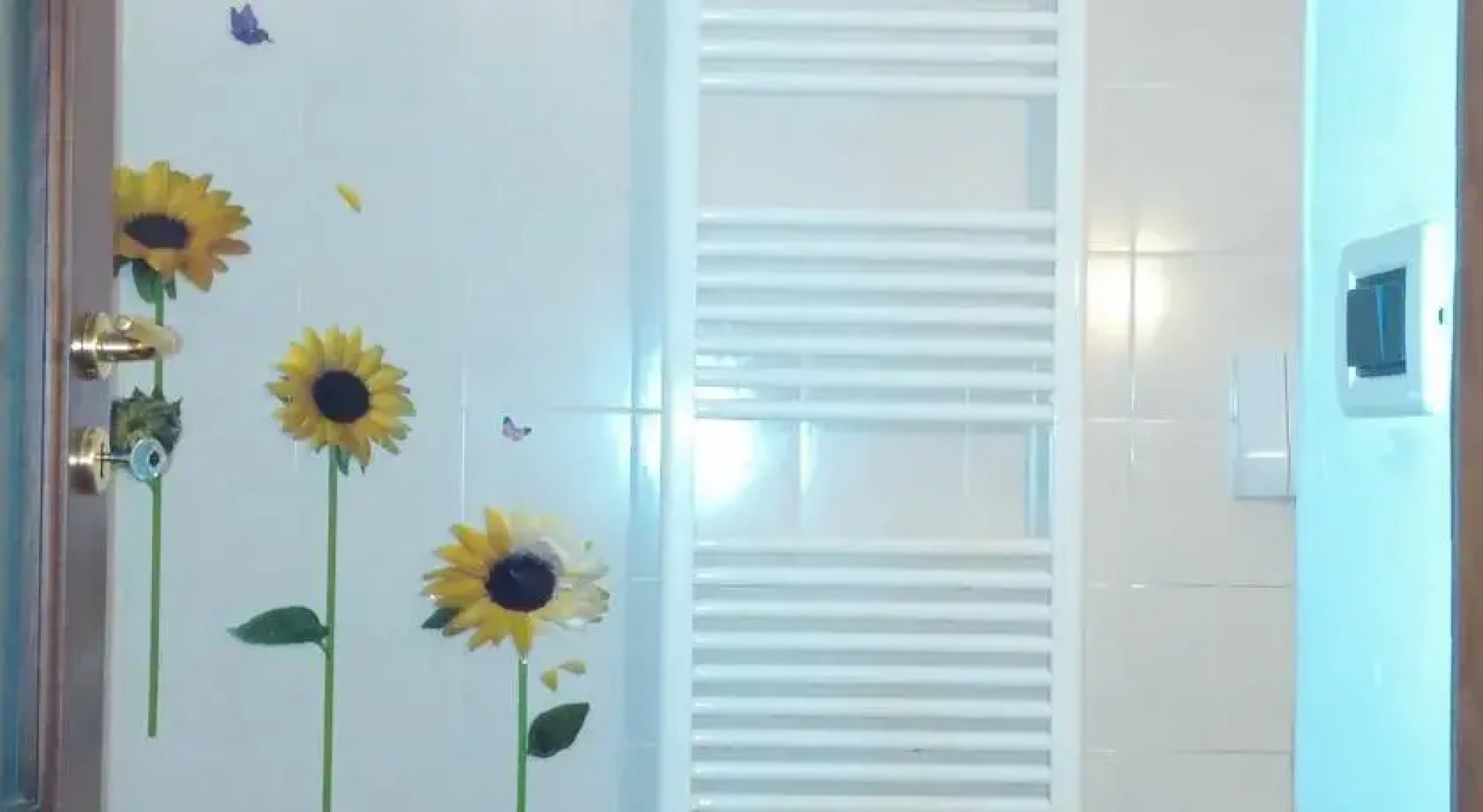 B&B/ Appartments Capolavigna