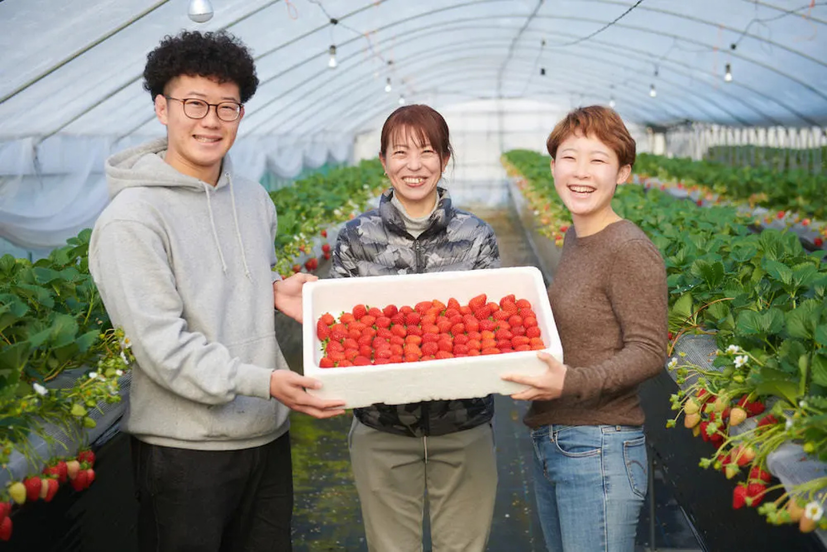 Temple Hotel Daitai-Ji