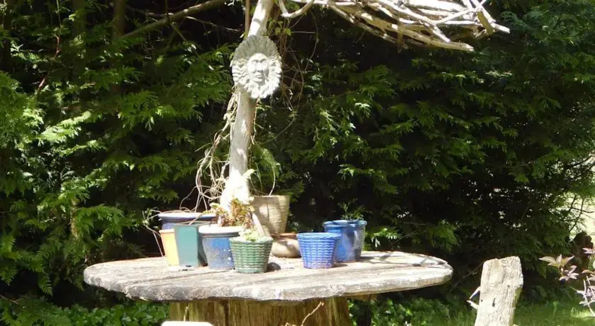 Green Cat Guest House