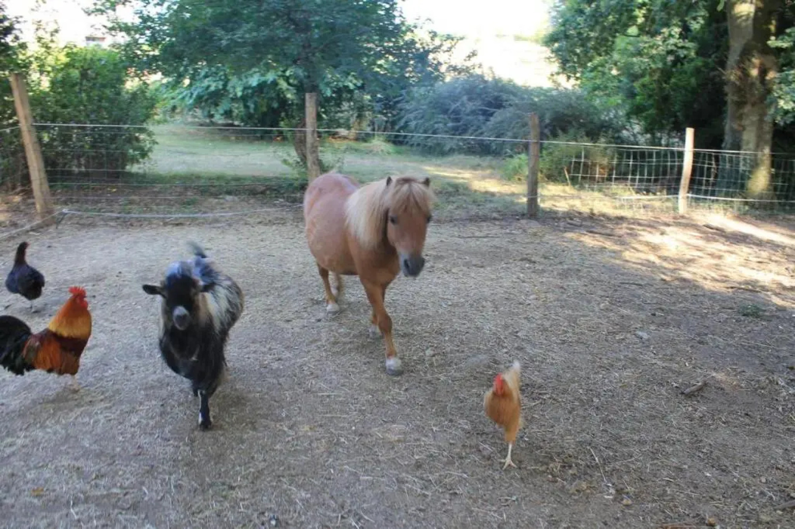 Gîte de La Huaudière