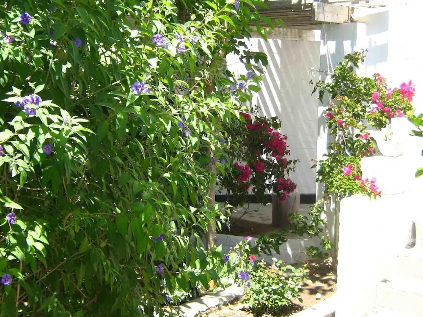 Alternative Space B & B