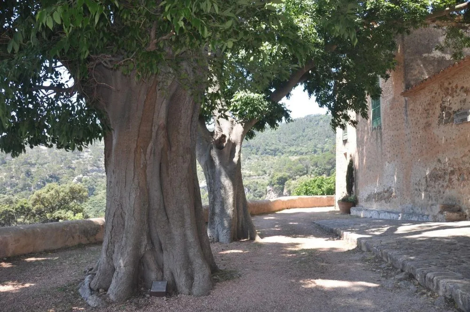 Sa Campaneta Agroturismo