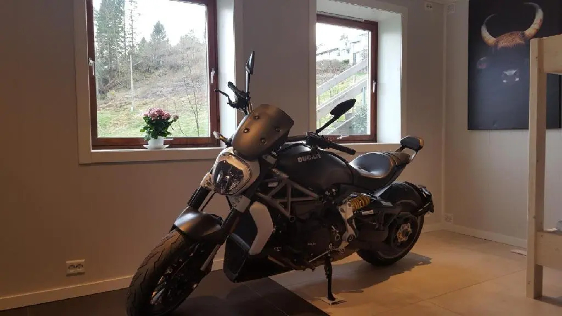 Kvernesfjorden Apartments