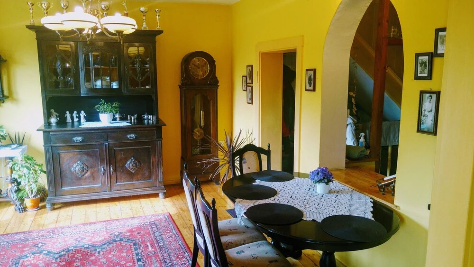 Apartment Under Cedar