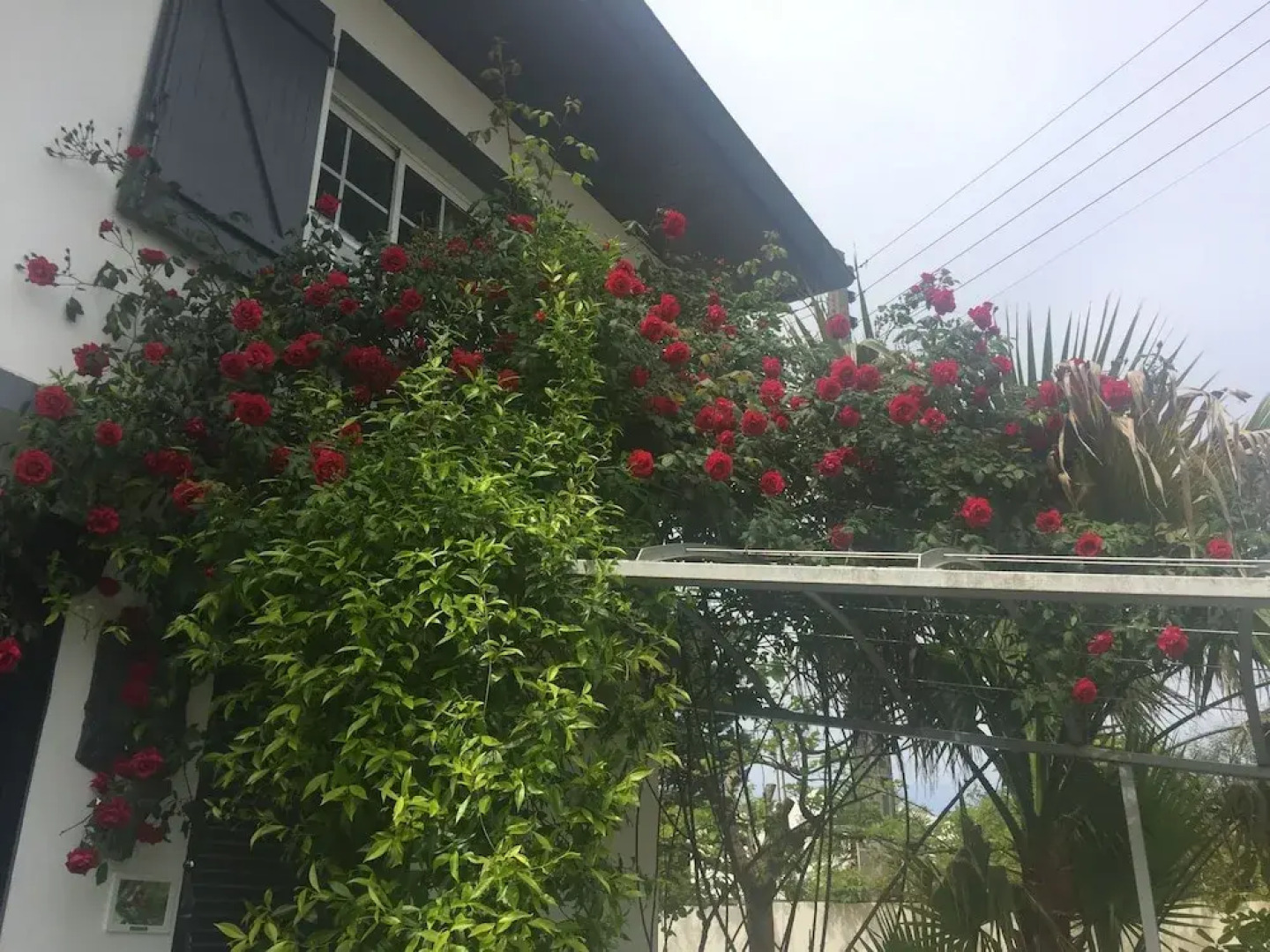 Maison La fleur de sel