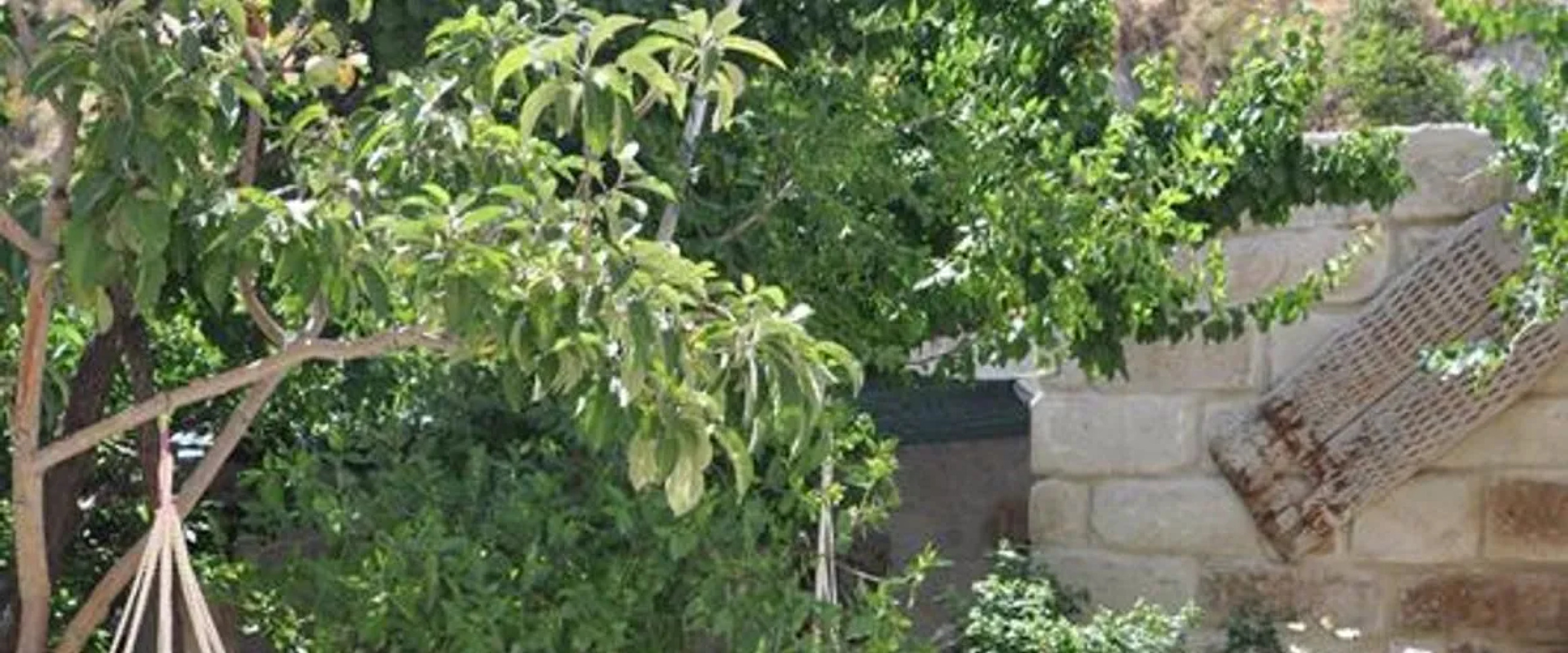 Cemil Koyu Cave House