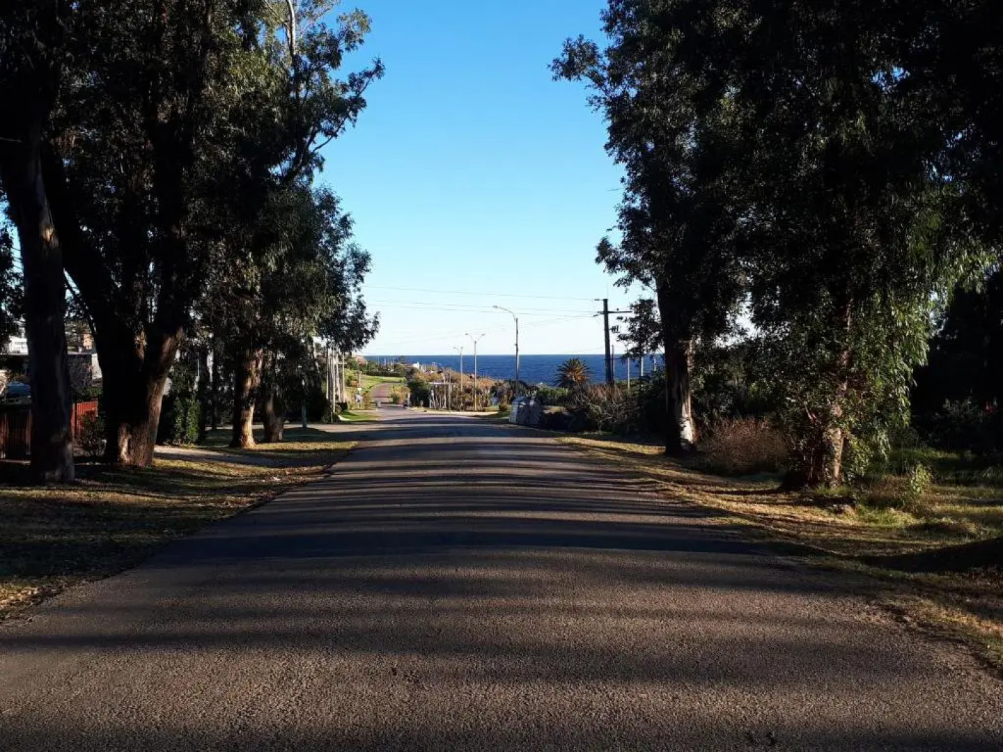 La Fuerza Del Destino