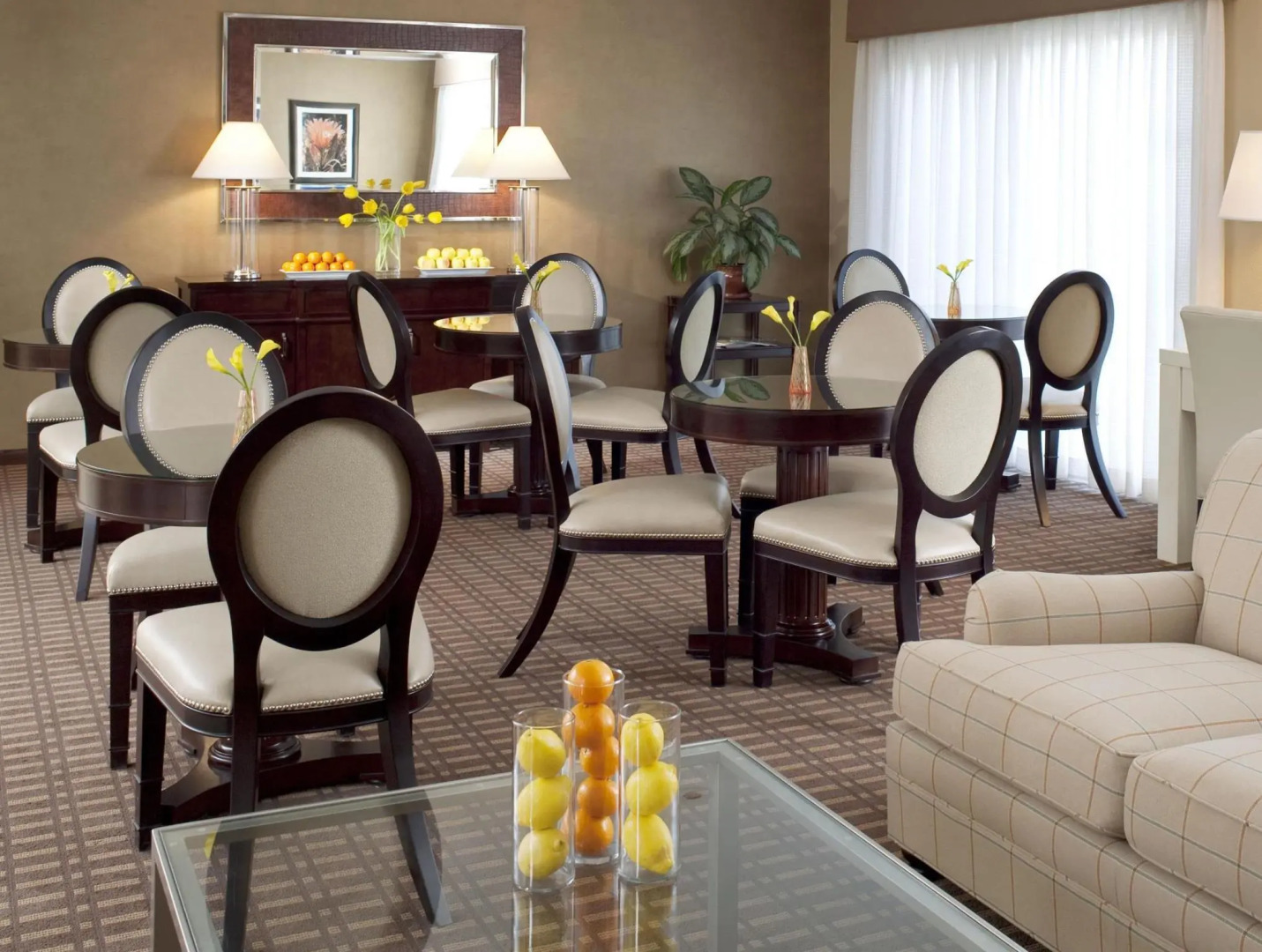 Sheraton Tucson Hotel and Suites