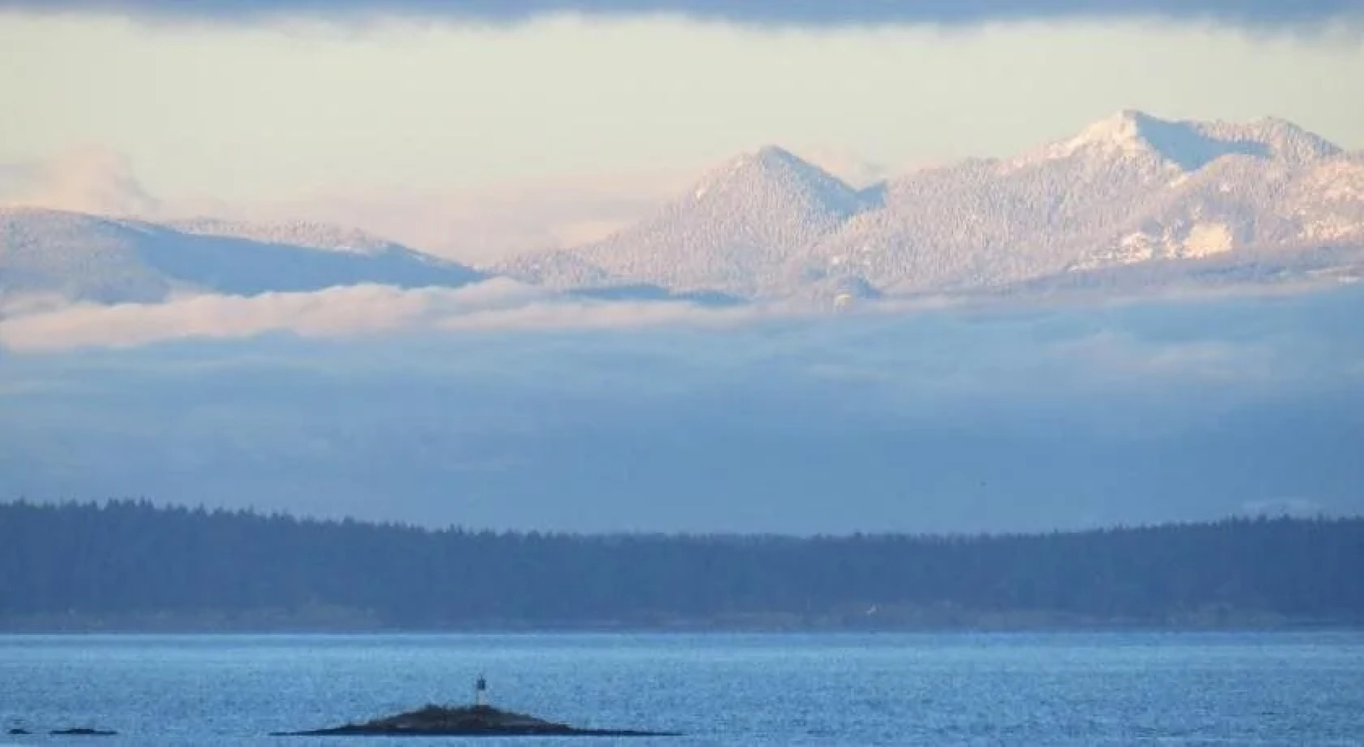 Coastal Lavender BnB