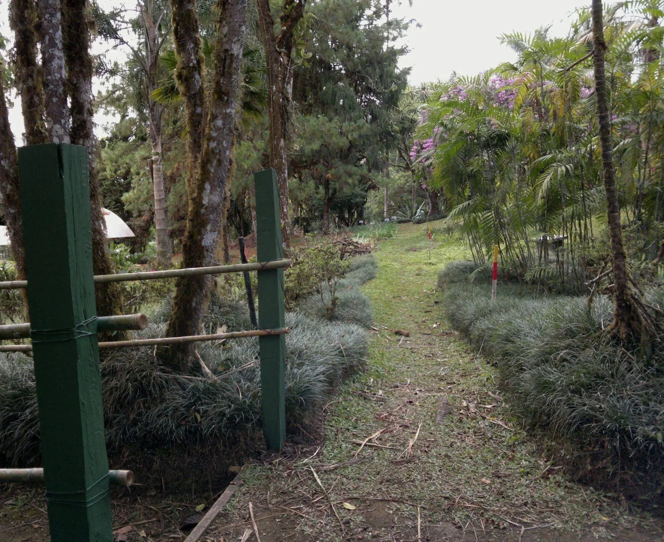 Las Cruces Biological Station