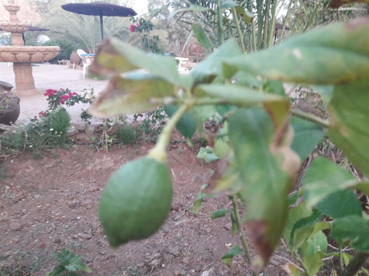 Room-auberge Jnane dar Diafa se Trouve a