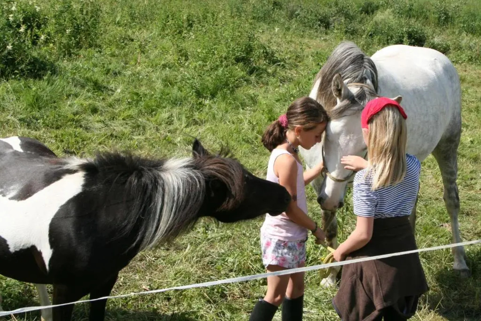 Naturerlebnis Lärchenhof