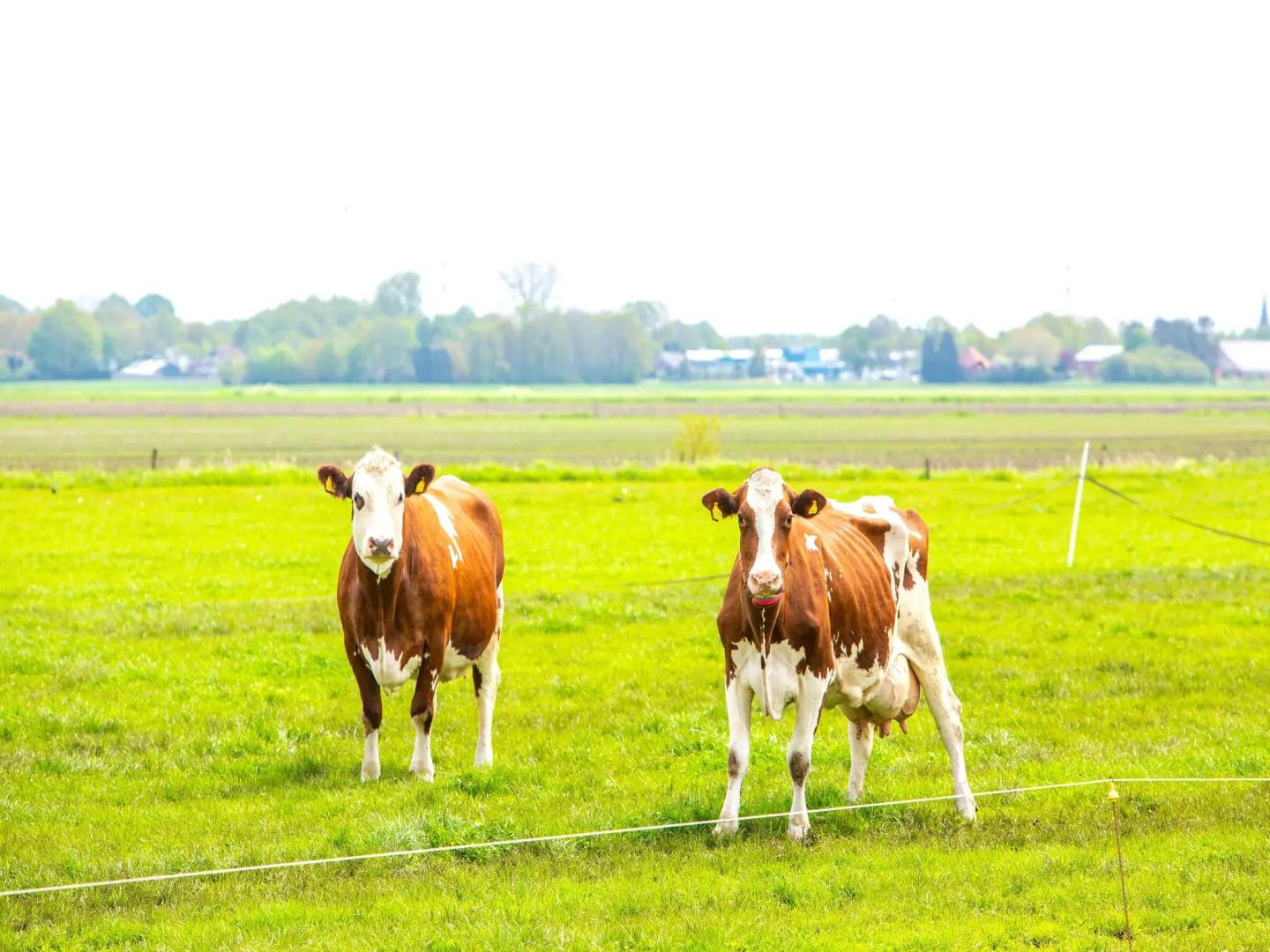 Spacious Farmhouse in Tweede Exloermond With Patio