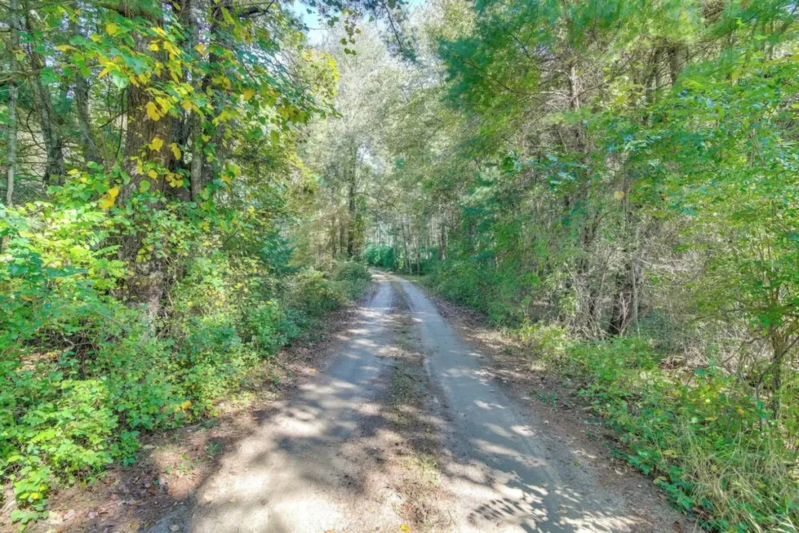 Quiet Plymouth Cottage on Great South Pond!