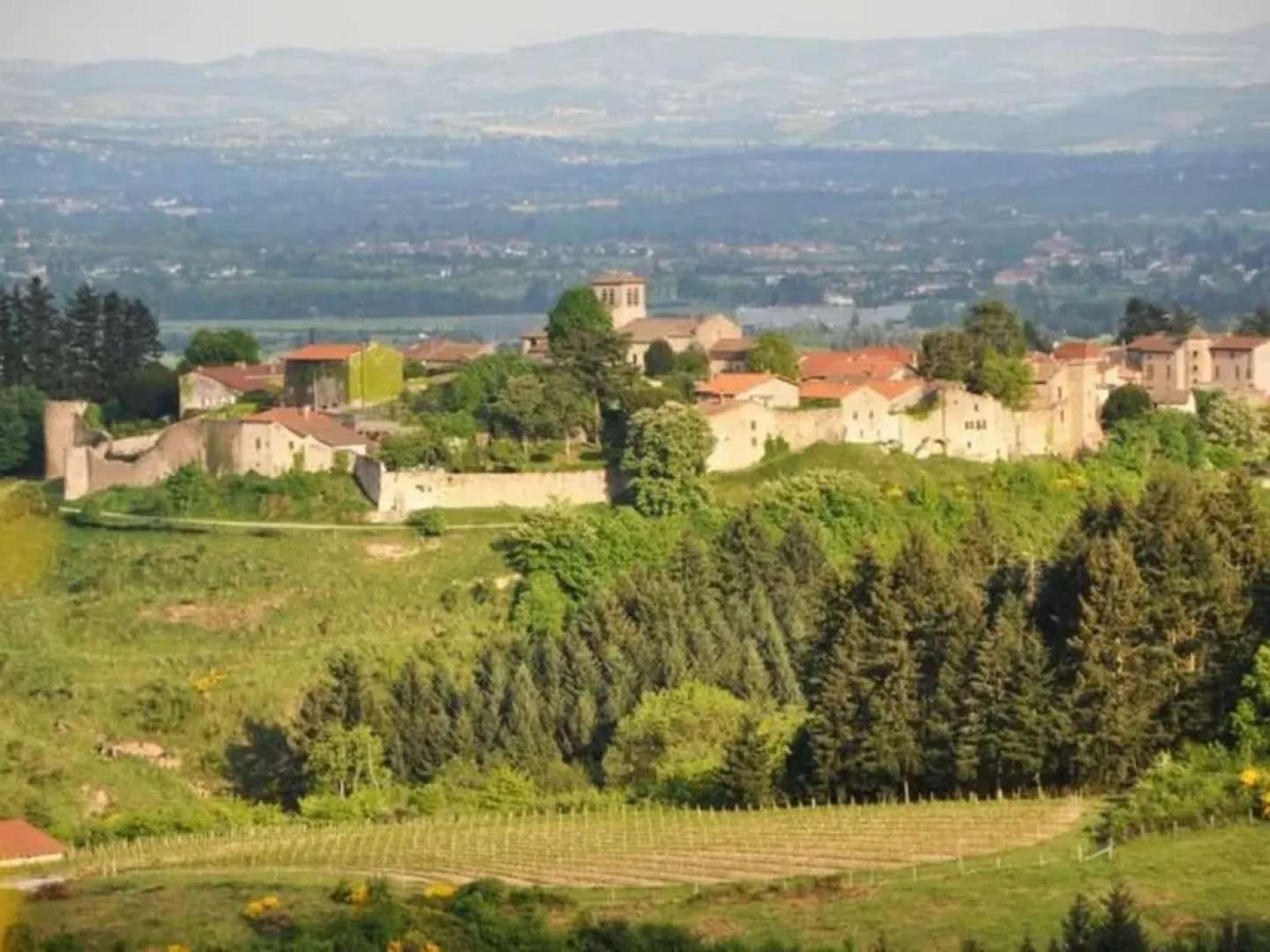 Gîte Saint-Haon-le-Vieux, 4 pièces, 6 personnes - FR-1-496-156
