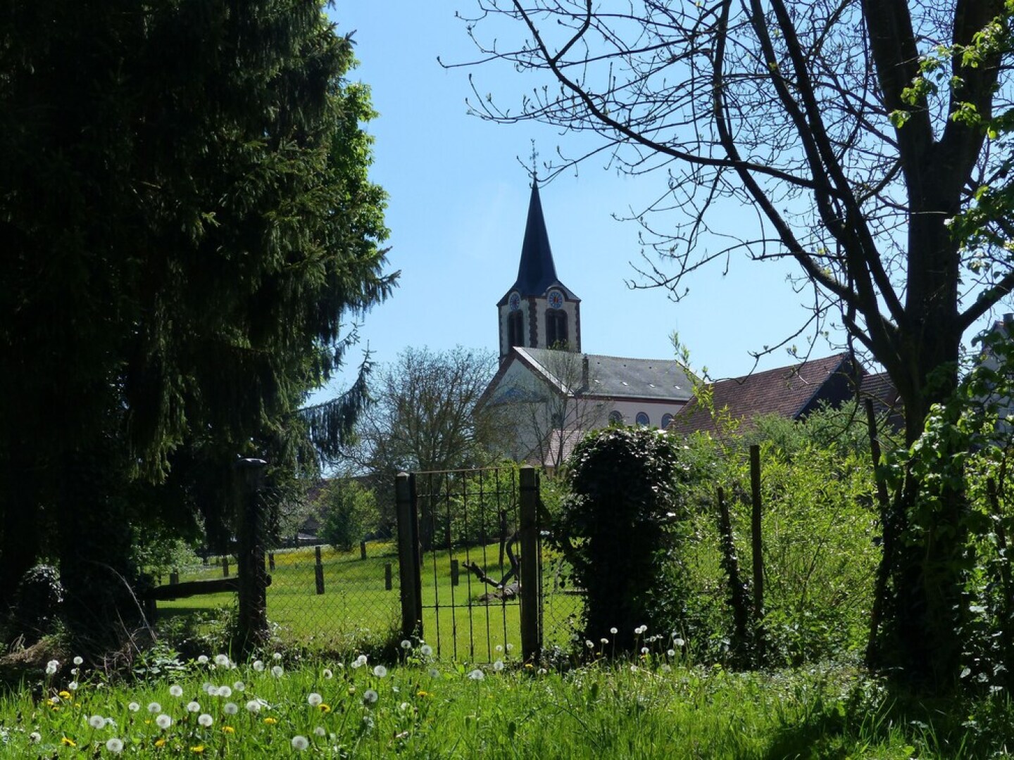 Les Lettres De Mon Moulin