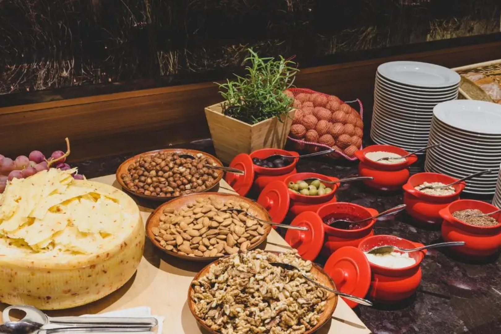 Hotel Balnea Superior – Terme Krka