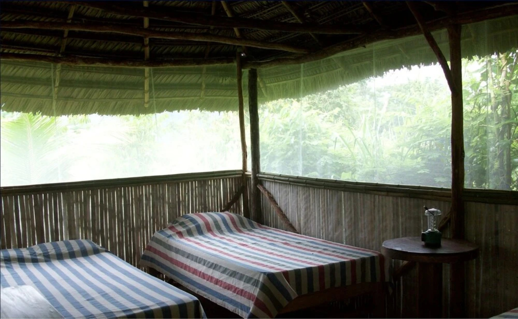 Chanchamayo Cloud Forest San Carlos