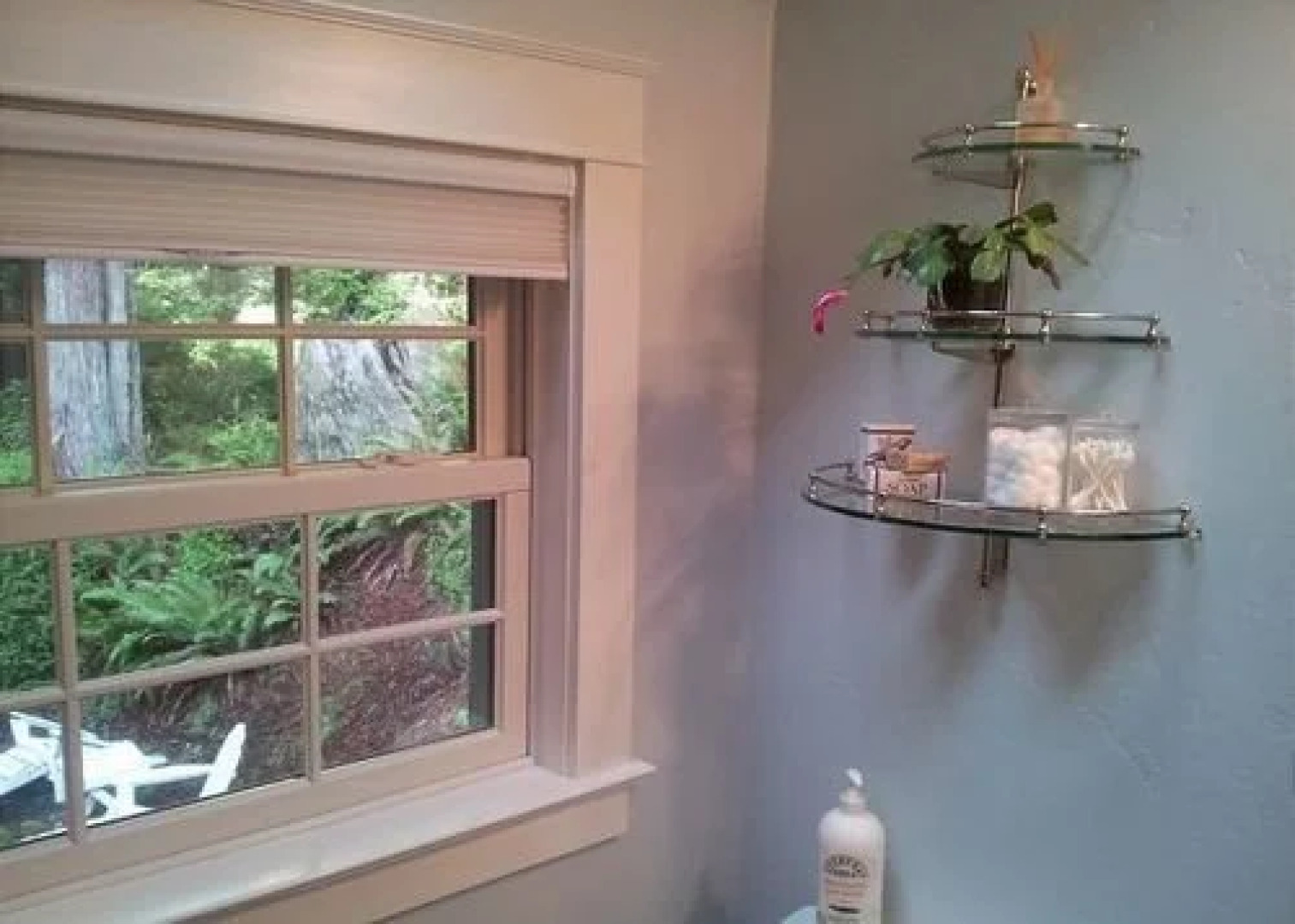 Serene Redwood Retreat