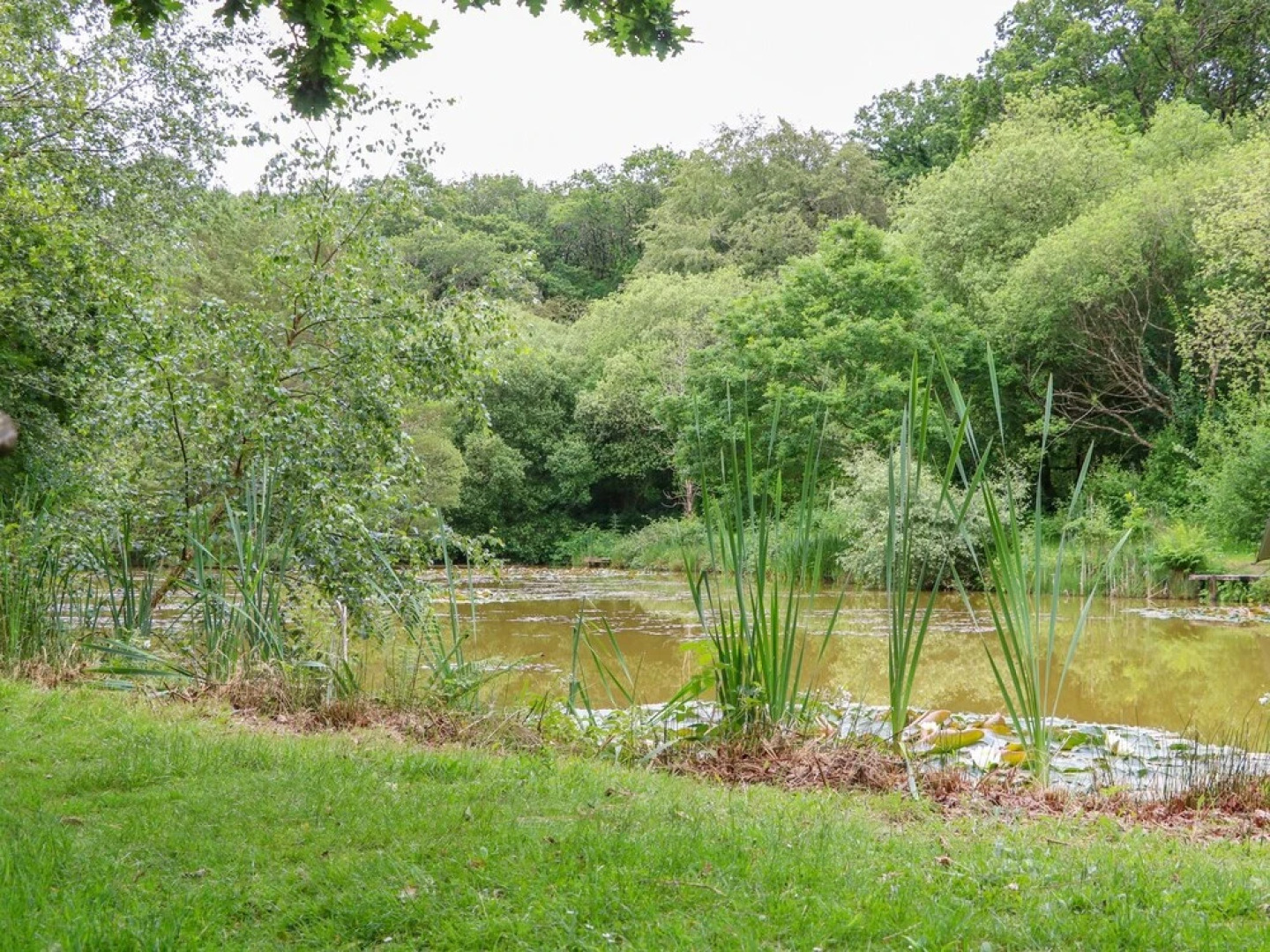 Cherry Tree Kingslakes