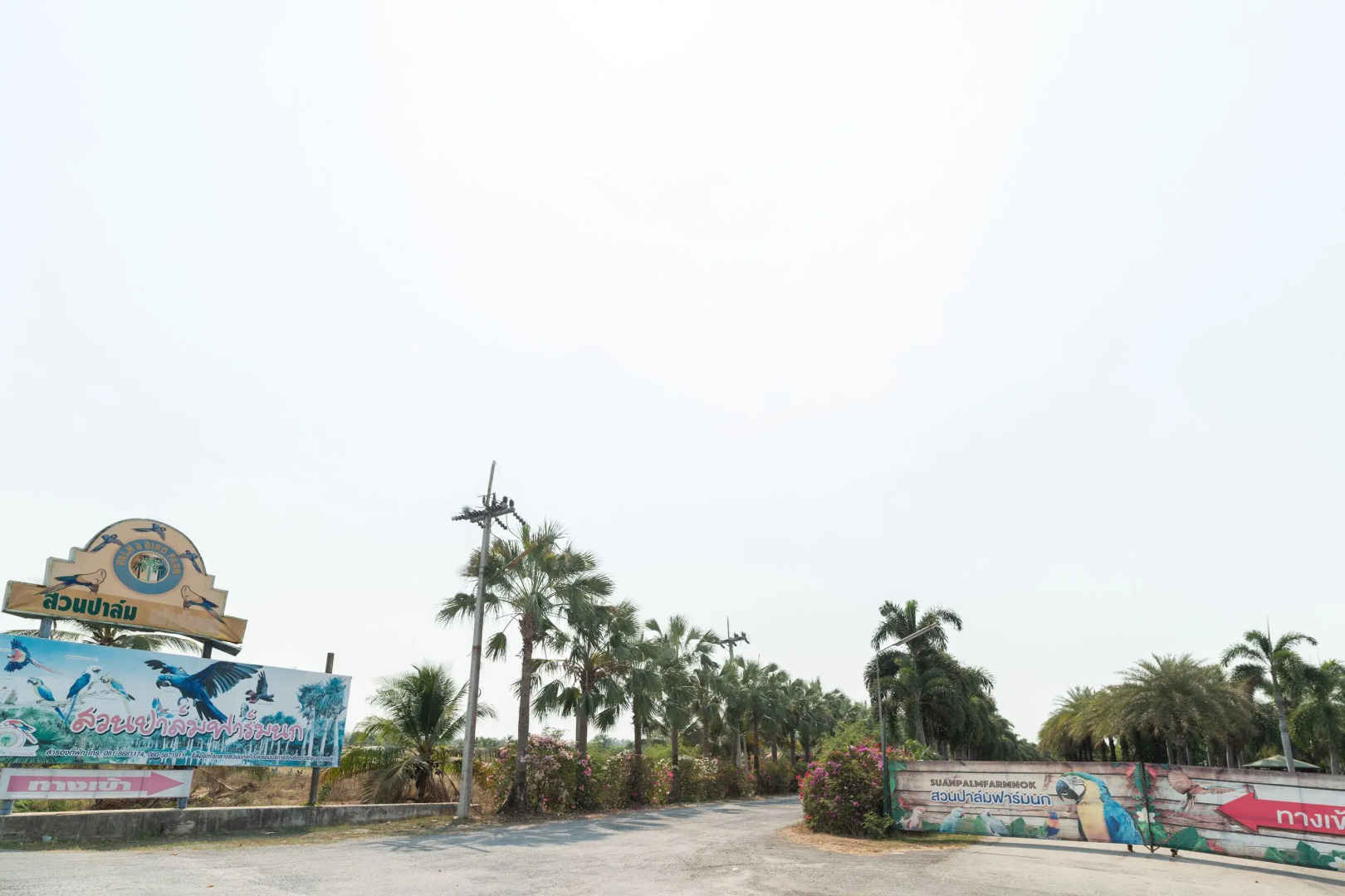 Capital O 805 Suan Palm Farm Nok Resort