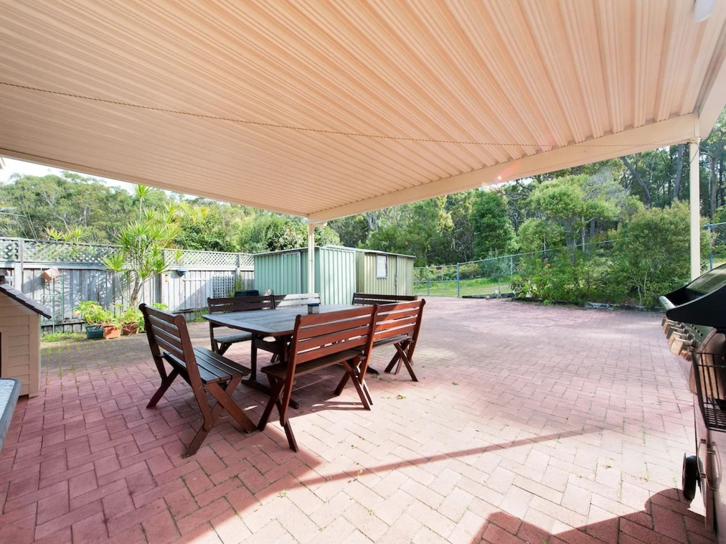 Wildflowers at Fingal Bay