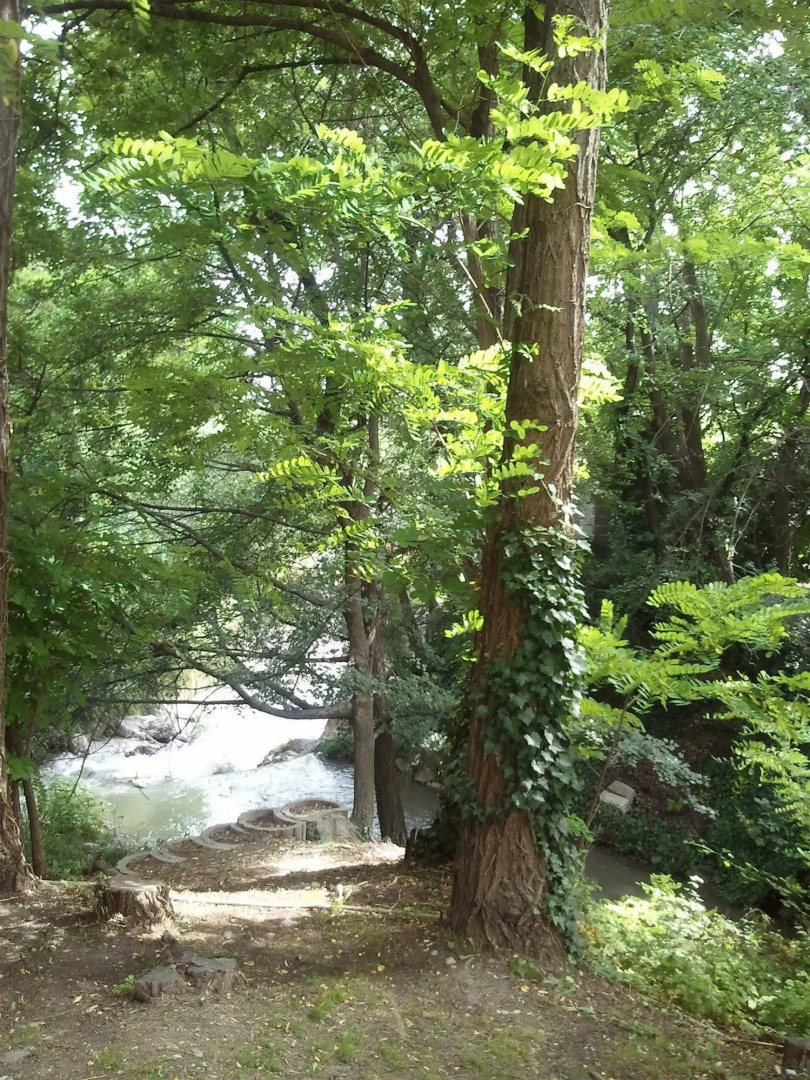 Hotel Bel'Alp Manosque